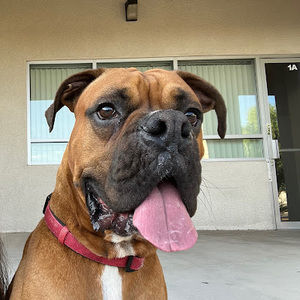 Meet your Posher, Xochitl